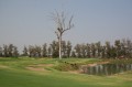 GOLF COURSE CONSTRUCTION (Korea, Global)